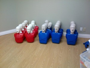 CPR training mannequins