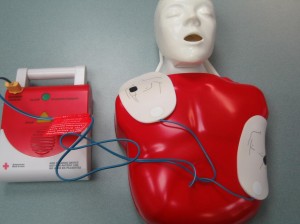 Adult pad placement and AED trainer
